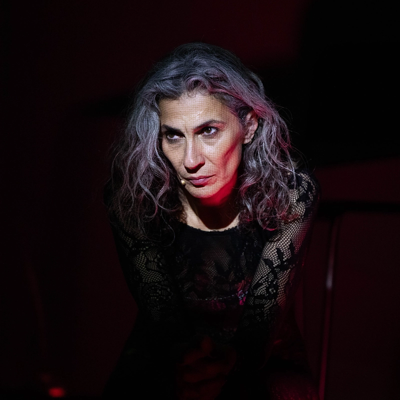 Teoria King Kong (teatre)